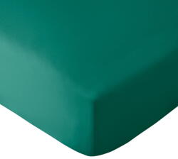 Catherine Lansfield Cearceaf verde închis din microfibră cu elastic 185x200 cm So Soft Easy Iron - Catherine Lansfield