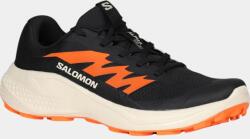 Salomon Alphaglide D Férfi futócipő