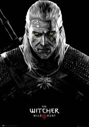  The Witcher Geralt Toxicity Poisoning poszter (61 x 91.5 cm) (Ajándék)