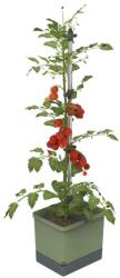 Gusta Garden TOM TOMATO Standard önöntöző virágcserép, sötétzöld (GG-103610)