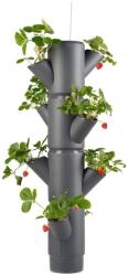 Gusta Garden SISSI STRAWBERRY függő önöntöző virágcserép, 4 szintes, antracit (GG-101538)