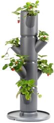 Gusta Garden SISSI STRAWBERRY starter 4 szintes önöntöző virágcserép, antracit (GG-101569)