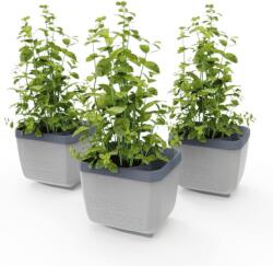 Gusta Garden HERBS BUDDY önöntözős, világosszürke, 3 darab (GG-120F11)