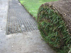  Vakondháló fekete 1x200 m (15x15mm) (28751 - 2006716)