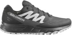 Salomon Outpath GTX Mens Hiking Shoe - Phantom