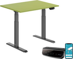 StableDesk Birou reglabil electric StableDesk Pro, 2 motoare, Ridica 125 kg, Organizator cabluri, Touchscreen, Aplicatie pentru Telefon, Cadru Negru mat, Blat Ve (SD-101-NE-FM0024-100x60)