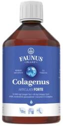 Faunus Plant Colagen hidrolizat pentru articulatii Colagenus Articulatii Forte, 500 ml, Faunus Plant