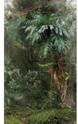 MARBURG Fototapet Jungla Monstera Smart Art