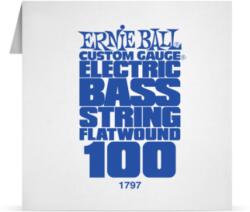Ernie Ball Single FlatWound Bass 100 - 10% nyitási akció