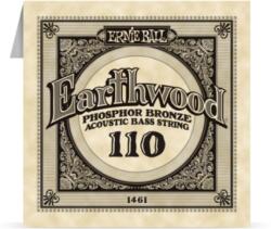  Ernie Ball Earthwood Bass Single 110 - jumbomusic