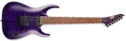 ESP Sh-207 Stp Brian Welch Signature