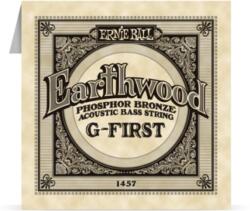  Ernie Ball Earthwood Bass Single 045 - jumbomusic