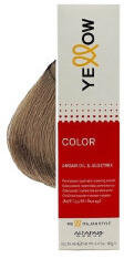 Yellow Professional Vopsea de par Yellow 8.31 Blond cenusiu deschis