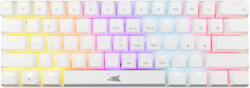 Baracuda DOLPHIN-W/R-US (BGK-03211W/R-US)