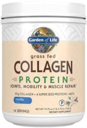 Garden of Life Grass Fed Collagen Protein 560 g