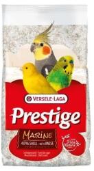 Versele-Laga Shell Sand Marine - Nisip pentru păsări 25 kg