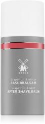 MÜHLE Aftershave Balm borotválkozás utáni balzsam 100 ml - notino - 7 595 Ft