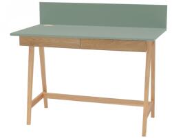 Ragaba Zöld lakkozott munkaasztal RAGABA LUKA 110 x 50 cm (NRGB_WDLUK317_DRAW)