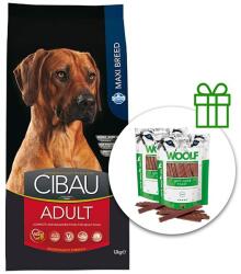  FARMINA Farmina MO SP CIBAU dog ADULT MAXI 12 kg + 2 x recompense GRATUIT