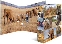 HERMA Afrika Tiere A4 Karton Gyűrűs irattartó - Afrikai állatok mintás (7168) (7168)