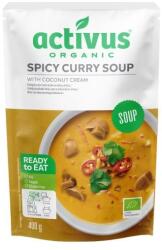 Activus BIO Supă picantă de curry 400 g