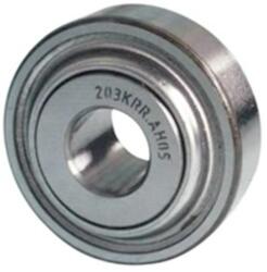 MGCS-G 204 Krnp Ah01 (aa21 480) (mgcs)