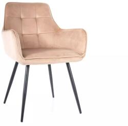 SIGNAL MEBLE Étkezőszék LEMON VELVET | bézs (LEMONVCBE)