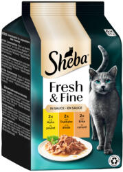 Sheba 12x50g Sheba Fresh & Fine csirke, pulyka & kacsa szószban nedves macskatáp