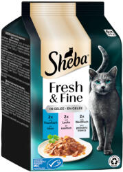 Sheba 6x50g Sheba Fresh & Fine tonhal, lazac & fehér hal aszpikban nedves macskatáp