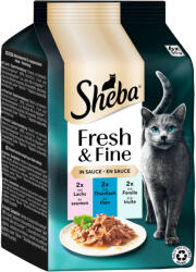 Sheba 6x50g Sheba Fresh & Fine lazac, tonhal & pisztráng szószban nedves macskatáp