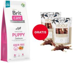 Brit Care Grain-free Puppy száraz kölyöktáp lazaccal 12 kg + WOOLF Chicken And Rawhide Twister 2 x 100 g szárított bőr csirkehússal körbetekerve AJÁNDÉKBA