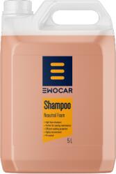 EWOCAR Sampon auto spumare intensa Ewocar Shampoo, pH neutru-5 Litri