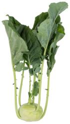 Rijk Zwaan Reno F1 2500 szem