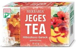 Herbária Ceai cu gheață hibiscus verde și piersică (20buc)
