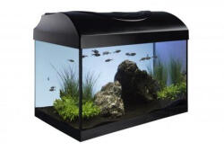  Akvárium készlet 40 - fekete egyenes 40x25x25 cm (RP 2, 90 Kč)