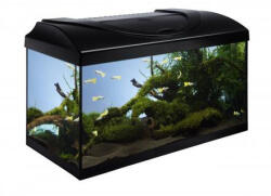  Akvárium szett 60 - fekete 60x30x30 cm