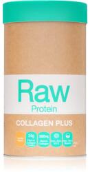 Amazonia Raw Protein Collagen Plus 450 g
