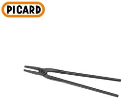 Picard 0004700-600 Cleste