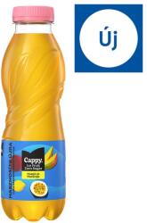 Cappy Ice Fruit Zero Sugar szénsavmentes mangó-maracuja ízű ital, édesítőszerekkel 500 ml