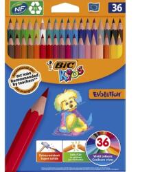 BIC Creioane colorate BIC Evolution, 36 culori/set 950526 (950526)