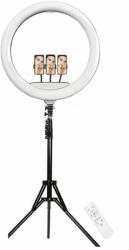 SIKS Kör alakú lámpa, gyűrűs, LED, smink, 55 cm, 22 hüvelyk, 3 fénymód, 10 beállítási fokozat, állvány, 3 x telefontartó, távirányító (RFL220IC)