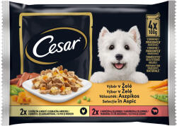 Cesar nedveseledel, ízesített mix, 5.2kg, felnőtt kutyáknak, zselében
