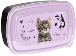 PASO cicás uzsonnás doboz - Meow (PP25CE-3022)
