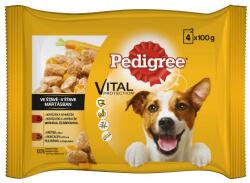 PEDIGREE Vital Adult - Nedves eledel (marha-bárány, pulyka-sárgarépa mártásban) kutyák részére (4x100g)