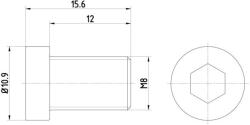 TEXTAR Surub, disc frana TEXTAR TPM0009 (TPM0009) - fixbox