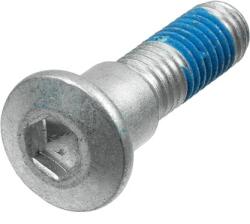 TRW Set surub, disc frana TRW MSS132-4 (MSS132-4)