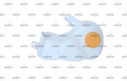 NRF Vas de expansiune, racire NRF 454038 (454038)