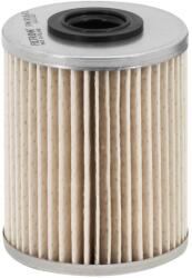 FILTRON Filtru combustibil FILTRON PM 816/1 (PM 816/1) - fixbox