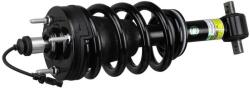 Arnott Amortizor Arnott ulei fata SK-3354 (SK-3354)