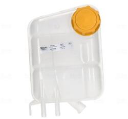 NISSENS Vas de expansiune, racire NISSENS 996381 - fixbox